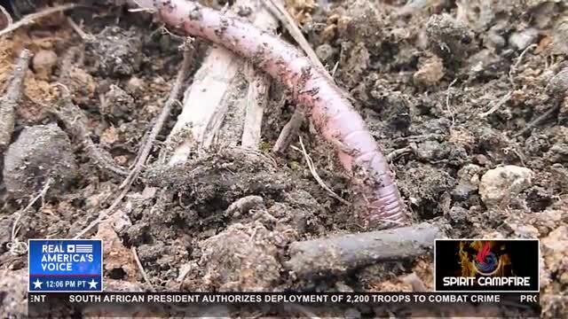 America Shines (Sat)